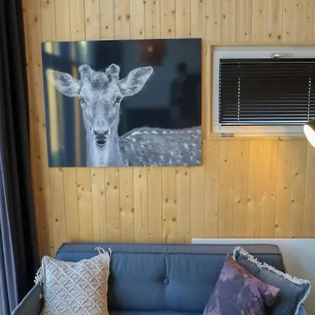 Holiday home Tiny House On A Velsen-Zuid